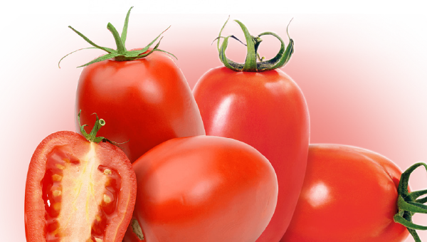Tomates pelados